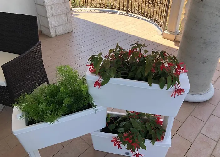 B&B Rosa dei Venti Roseto Capo Spulico