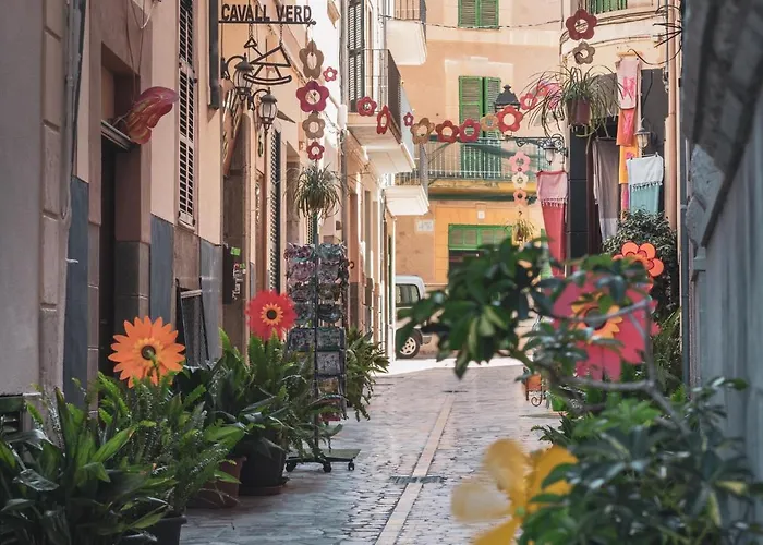 Ca'S Cuscanti Sóller