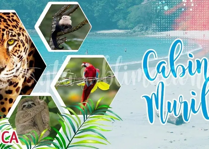 Hotel Cabinas Murillo