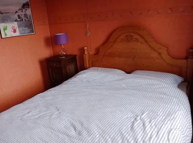 Bed En Breakfast Met Patio En Kippen Bed and Breakfast Thorn