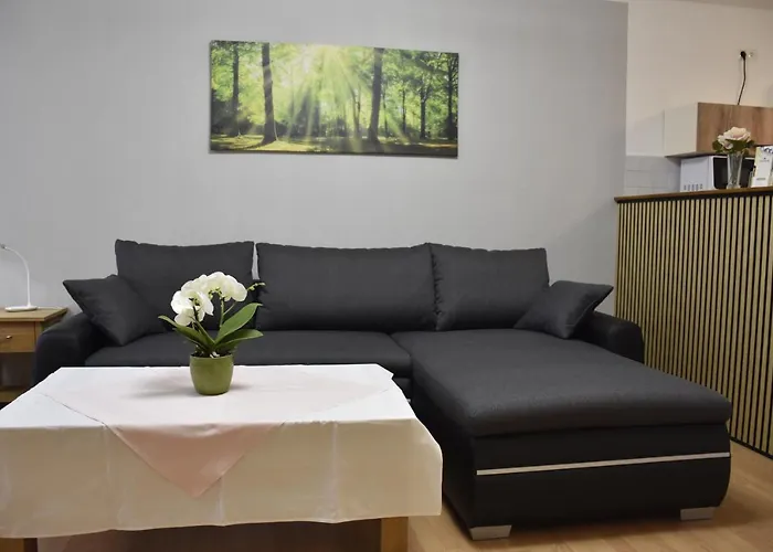 Hotels in Plauen
