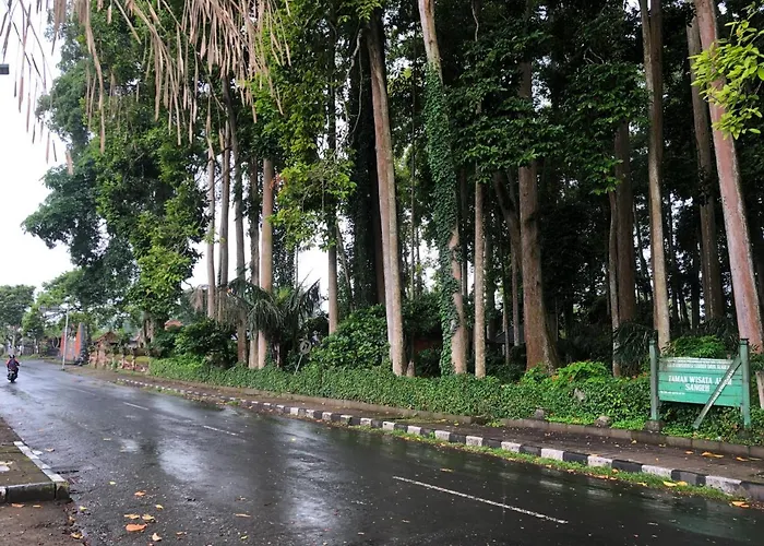 Hotels in Pemuteran