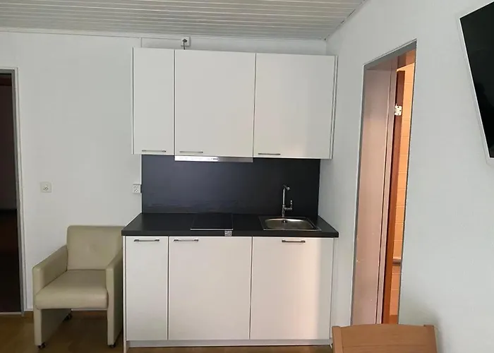 Studios With Kitchenette Birsfelden