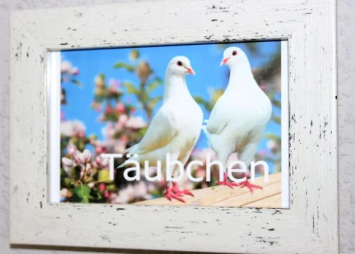 Haus Vogelhochzeit Taeubchen