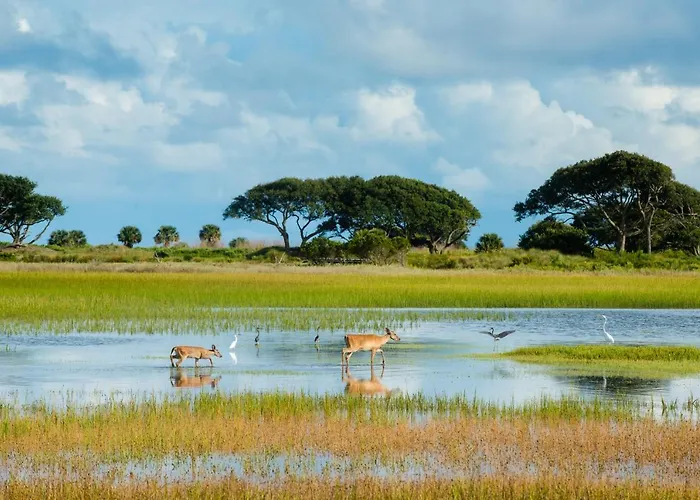 3528 Seascape Villa Kiawah Island