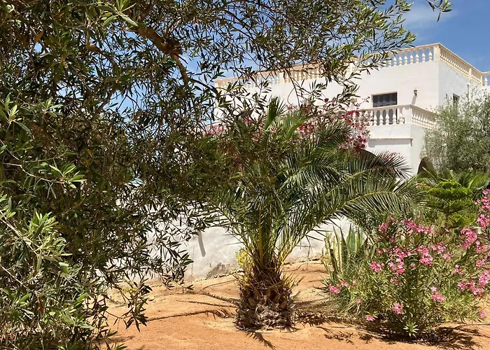 Maison d'Hote Domaine El-Manar