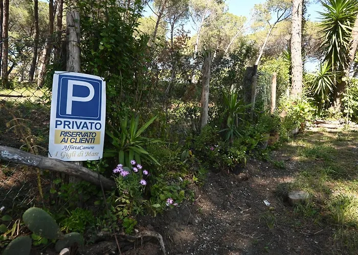 Affittacamere I Gigli di Mare Marina Di Bibbona