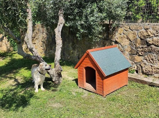 Hotel Podere Il Polveroso Cecina 