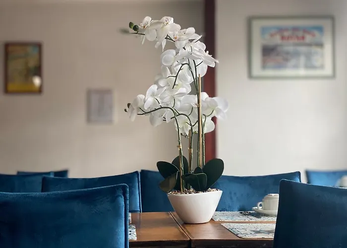 Hotel le Pasteur Royan