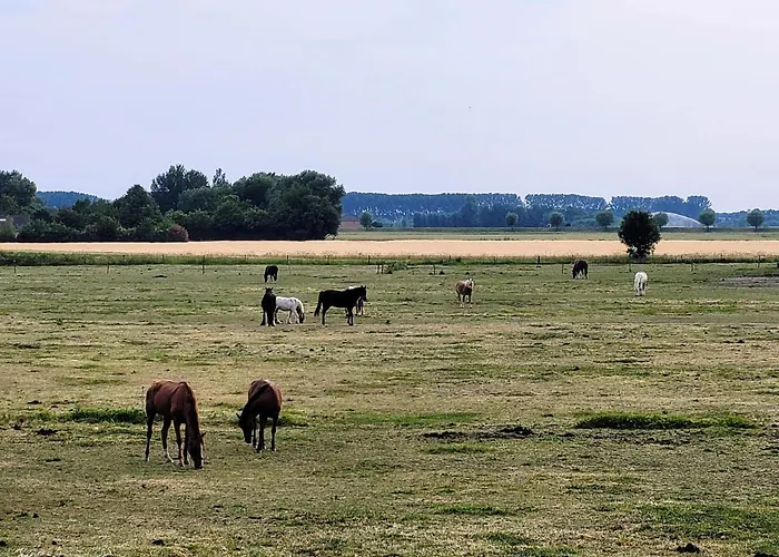 Scheldehuis
