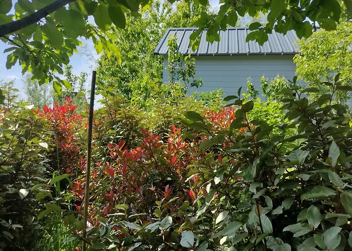 Tuinhuisje in het groen Almere