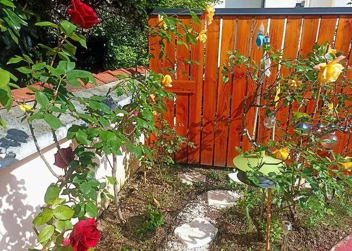 Bed and Breakfast Un Moment De Douceur Nancy