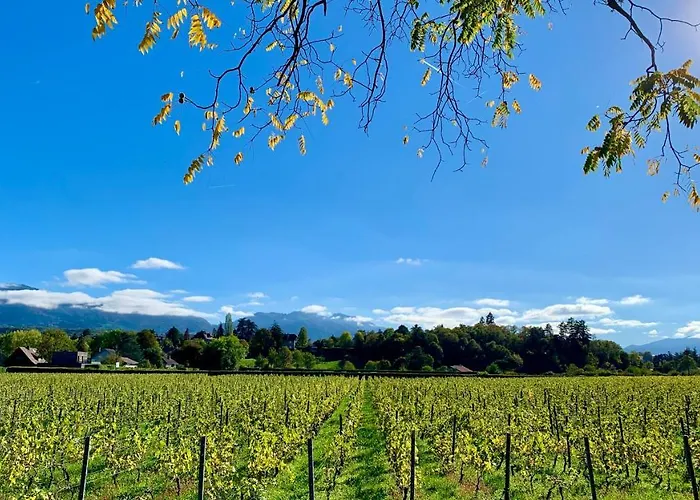 Bed and Breakfast Chez Mat à Thonon-les-Bains