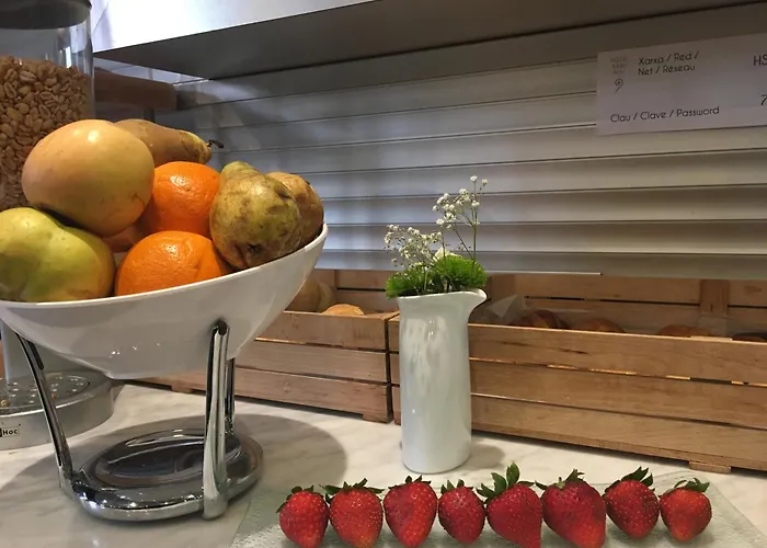 Hotel Sant Roc Solsona