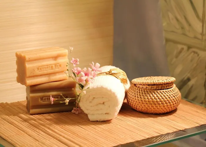 The Garden House & Aloes Bien-Etre Spa Vierzon