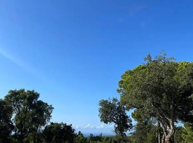 Suite Do Meco, Refugio No Meio Da Natureza Sesimbra