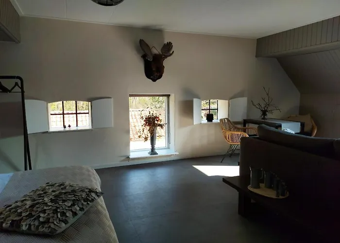Aekingahof Bed and Breakfast Appelscha