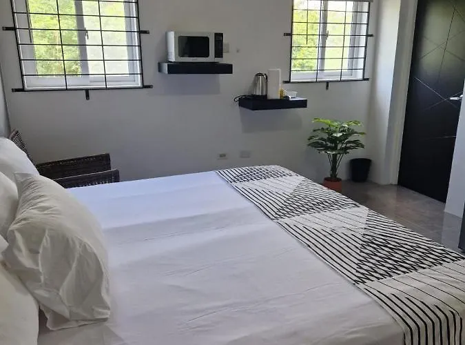 Boonoonoonous Hotel Kingston
