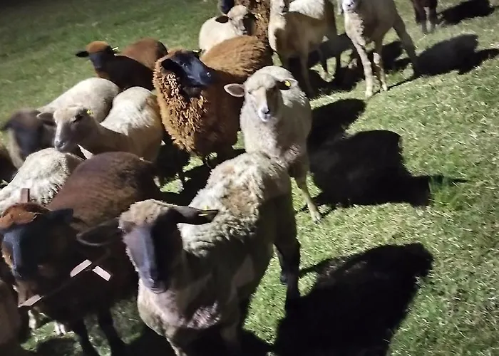 Pousada Do Pampa Jaguarão