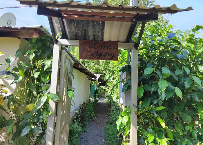 Tortuguero Hotels