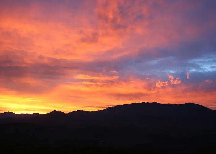 The Foxtrot Bed And Breakfast Gatlinburg
