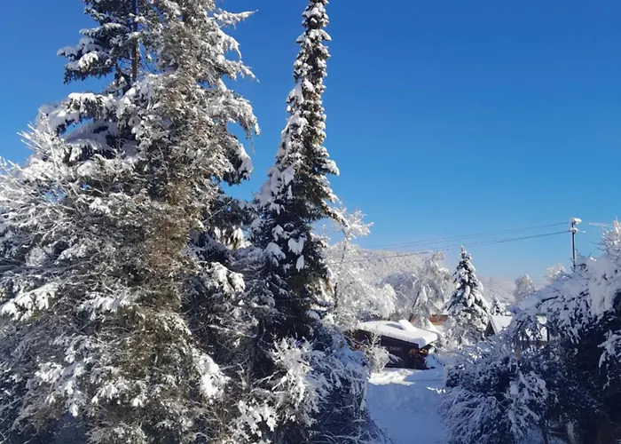 Hotels in Wallgau