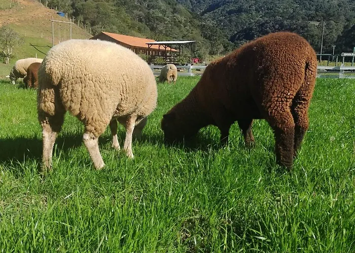 Pousada Nó de Pinho Urubici