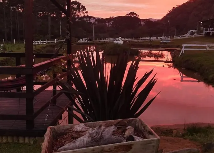 Pousada Nó de Pinho