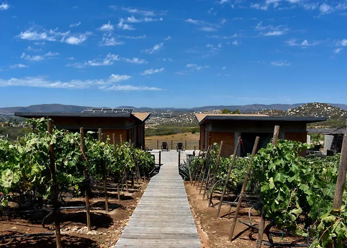 Uvauva Eco-Retreat Bed & Breakfast Valle de Guadalupe