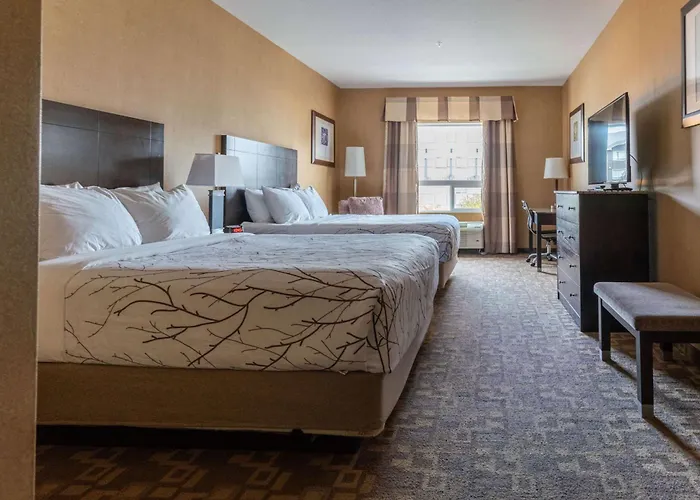 Best Western Plus South Edmonton Inn & Suites