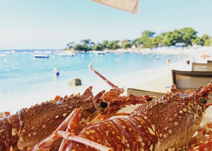 Palm Beach Ajaccio 