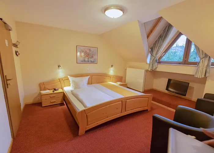 Hotel Sauerländer Hof Willingen 