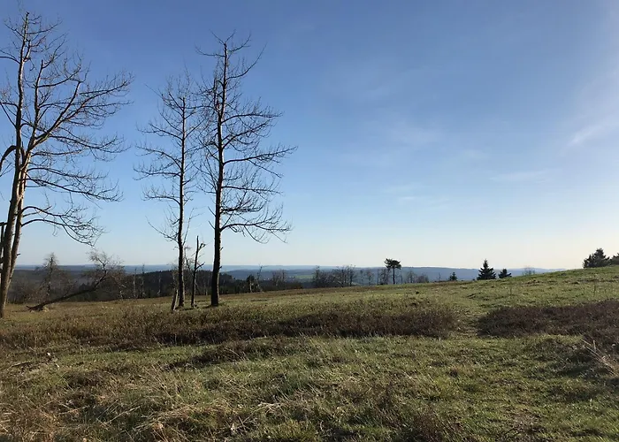 Astenturm Hotel Winterberg