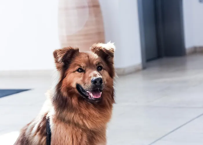 Carat Apartments Grömitz