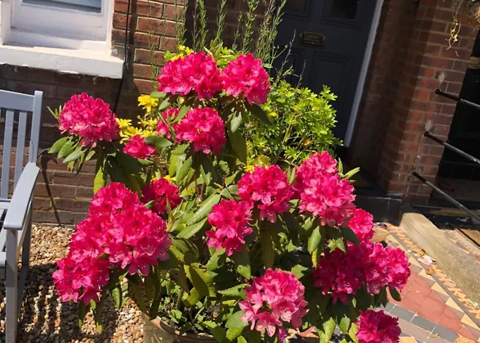 Bed and Breakfast Carena House Canterbury