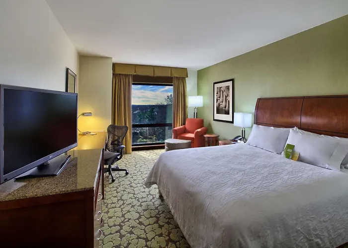 Hilton Garden Inn Durham-University Medical Center