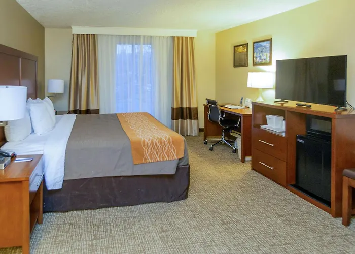 Comfort Inn Salt Lake City Downtown