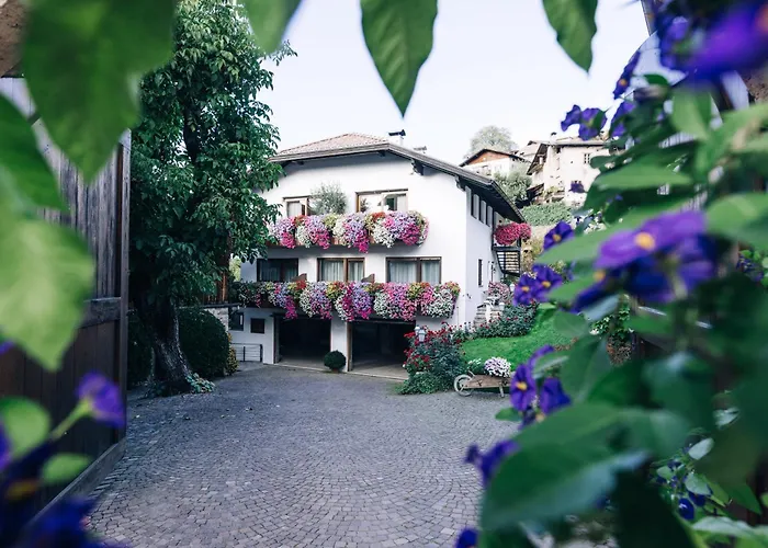 Amplatz 1523 - B&B And Suites Montagna 