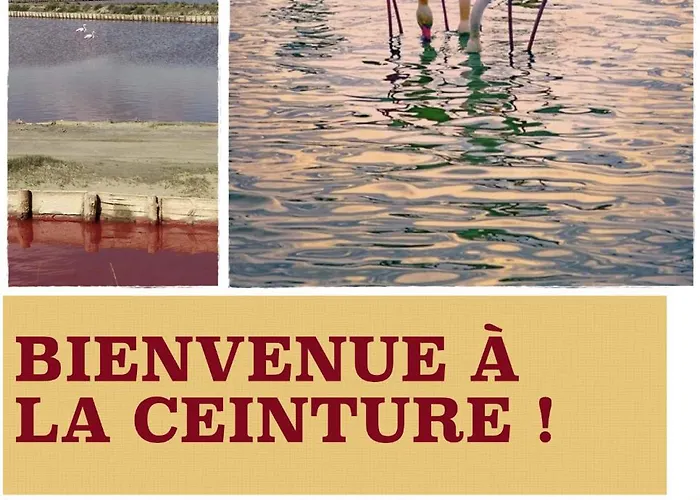 Hotel Restaurant La Ceinture Vauvert