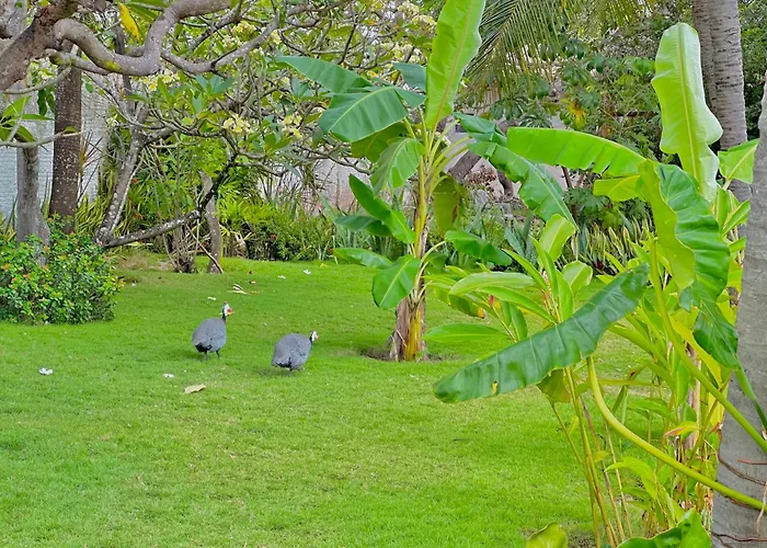 Pousada Casa Eco Paracuru