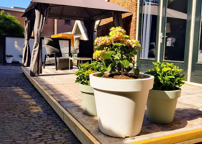 Hotels in Diever