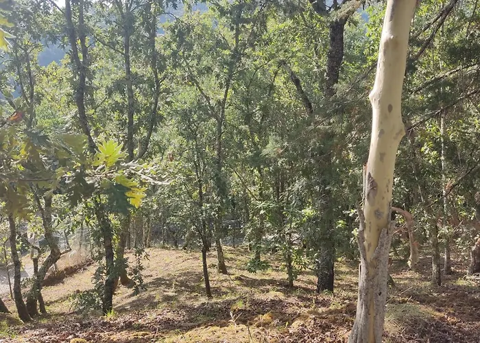 Hotéis em Marco de Canavezes