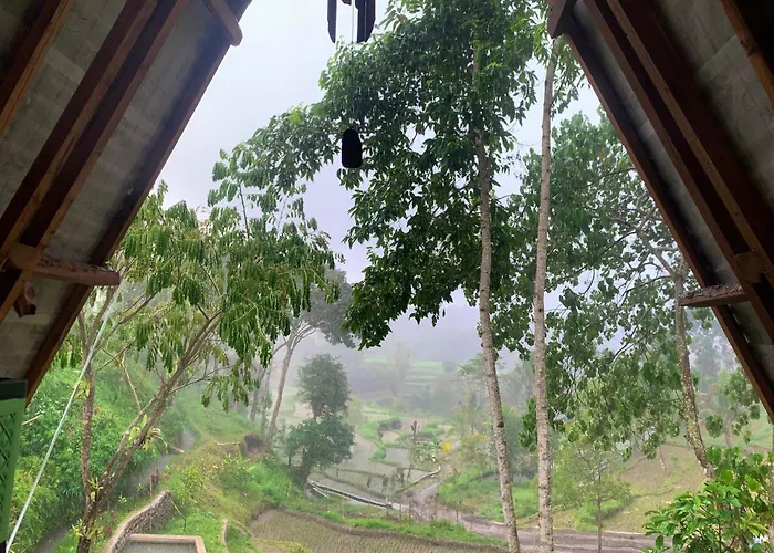 Hotels in Tetebatu