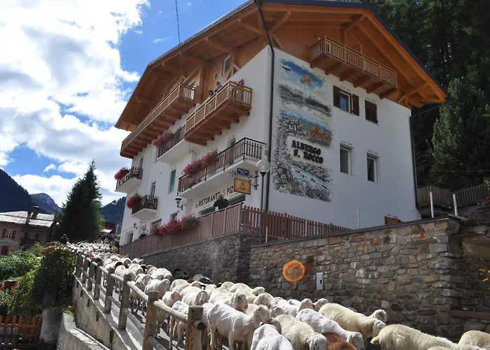 Albergo San Rocco Peio