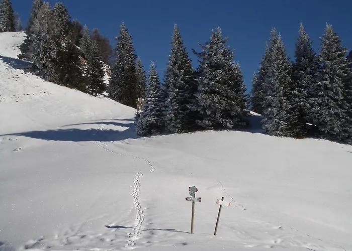 Hotel Binelli Pinzolo
