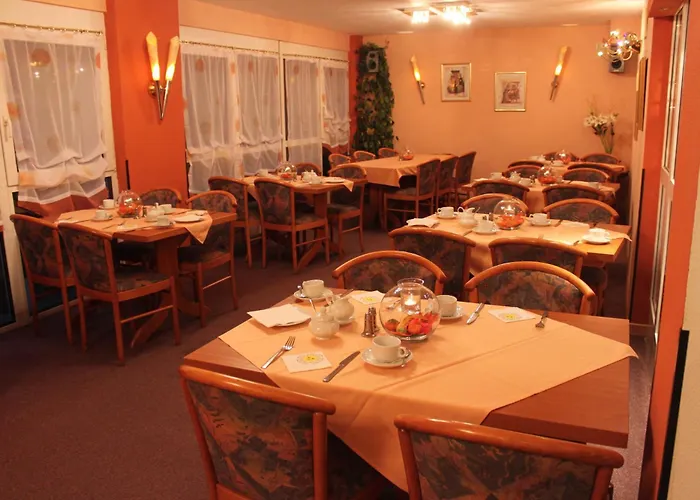 Hotel Roemerstein Mainz