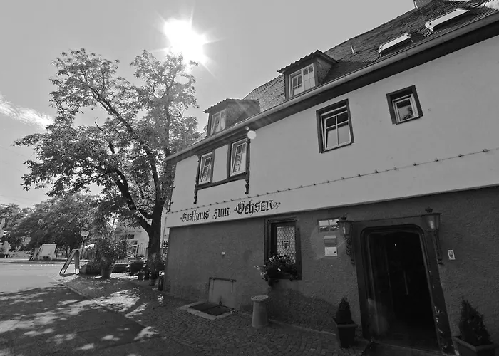 Gasthaus zum Ochsen
