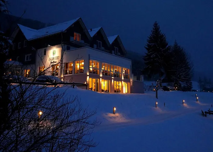 Waldhotel Schinkenwirt Olsberg