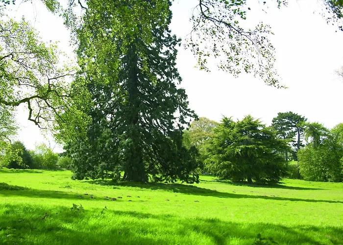 Woodland Grange Hotel Lillington 