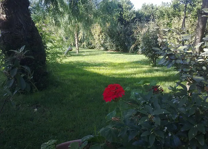 Mylife B&B Country House Castellaneta Marina